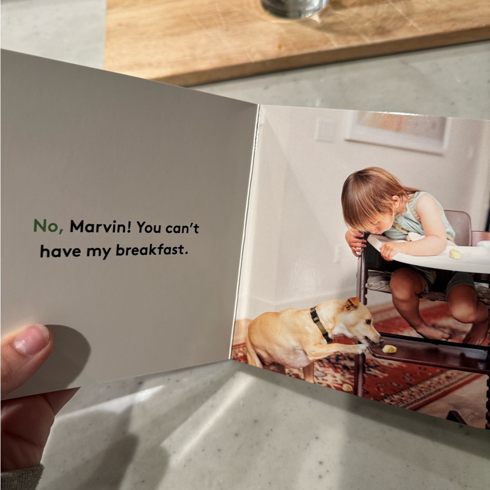 Lovevery Book - My First Words - Picture 9 of 15